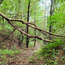 주천면사무소 이미지