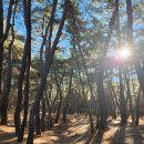 포석정 화장실 이미지