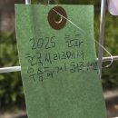 현악국 | 서대문 국가유산 야행 서포터즈.2] 불빛이 아름다웠던, 그러나 보기까지 오래 걸렸던. - 행사 참여 및 후기