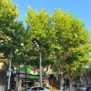 카이 호스텔 이미지