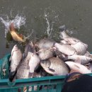 석곡낚시터 이미지