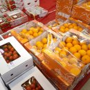 안영셀프세차장 이미지