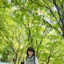 6월14일(금)양재천,서울시민의숲걷기(박헌대장님리딩) 이미지
