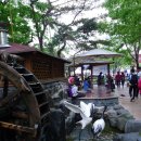 유성 족욕체험길 이미지