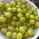 인터넷 등 이곳저곳에서 사 먹어본 것들 후기 2탄 (긴 글 주의) 이미지