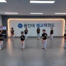 태원태권도장 | 매교태권도로 유명한 용인대매교태권도장 후기