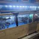 석전동248 이미지