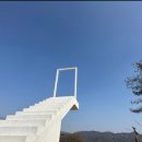 팜 스프링캠프 이미지