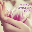 오션서퍼 광교점 이미지