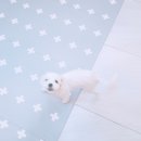 러블리펫텔 네이버블로그