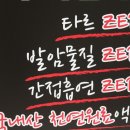 전자담배 멀티샵 신림점