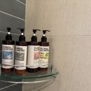 선샤인 관광호텔 | 서귀포숙소 선샤인파크제주 호텔 가성비 조식 맛집