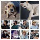 고흥댁 이미지