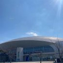 남부대국제수영장수영복