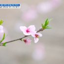 정 팜스테이 이미지