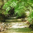 윗대티 등산로 이미지