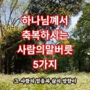 축복의 말투 -- 인생을 바꾼다 잡념이 생길때: 이미지