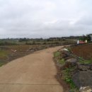 대정읍사무소 이미지