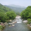 지리산 찹쌀동동주