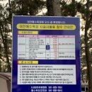 대천해수욕장 국민여가캠핑장(1지구) 이미지