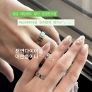 청담 웨딩밴드 투어 다베로 | 최대 25% 할인 혜택 + 지인 코드 내돈내산 계약 후기