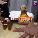 혜인2농장 이미지