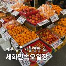 하수해수욕장 동쪽주차장 | 제주 세화민속오일장 날짜 시간 주차 애플망고 가격