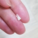 세종 어린이 치과의원 이미지