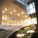 연극 - 고양이라서 괜찮아 이미지