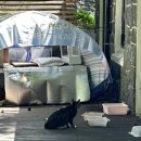 원앙목장 | 제주도 폭포 추천 - <원앙폭포> 방문 후기