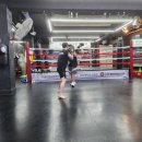 용인대SM복싱클럽 본관 이미지