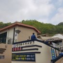 만천하스카이워크(정상) | [충북 여행] 단양 만천하스카이워크 후기 | 남한강을 발밑에 두는 진짜 높이감