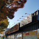 애완용품 할인마트 이미지