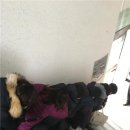 중동행정복지센터 이미지
