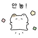 뮤직스타 코인노래 연습장 이미지