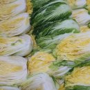 방림면 계촌복지회관 | 평창 방림 계촌 김장축제