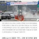 강원 양구서 올해 2번째 아프리카돼지열병 발생..5600여마리 살처분 이미지