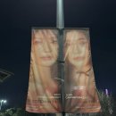 o-14 | [2025 다비치 콘서트] KSPO DOME 체조경기장 1층 14구역 13열 시야 후기 (셋리스트O)