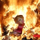 팔라스 이미지