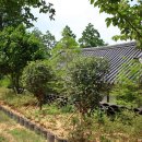 스테이결 이미지