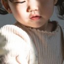 러브씨드스튜디오