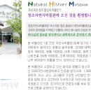 창조자연사박물관 이미지