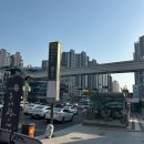 대구 반월당 피부과 올리지오 내돈내산 리프팅 솔직 후기