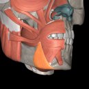 덕계한의원 이미지