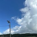 (주)아인스에스엔씨 | 서귀포 105동에서 보낸 일주일살이 후기✨