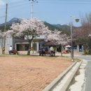 도림사오토캠핑리조트 이미지