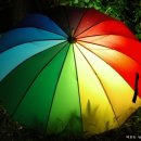 정 치과기공소 이미지