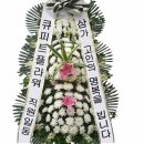 큐피트플라워