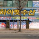 하이벳 네이버블로그