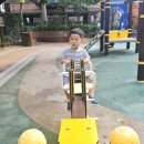 부산광역시 수영구 광안해변로 183   (광안동) 게스후 앞 | 일상) 부산 수영 광안리 외식,배달맛집